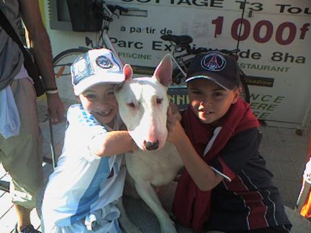 mes petits maitre